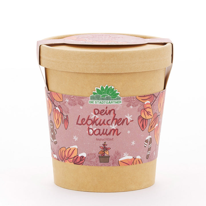 Set de plantación en taza marrón con etiqueta decorada con motivos navideños, la inscripción “Tu árbol de jengibre” y el logo “Los Jardineros de la Ciudad”.