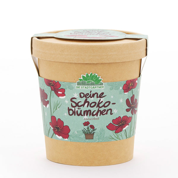 Vaso de papel con una banderilla que representa "Tu kit para cultivar flores de chocolate" y flores rojas.