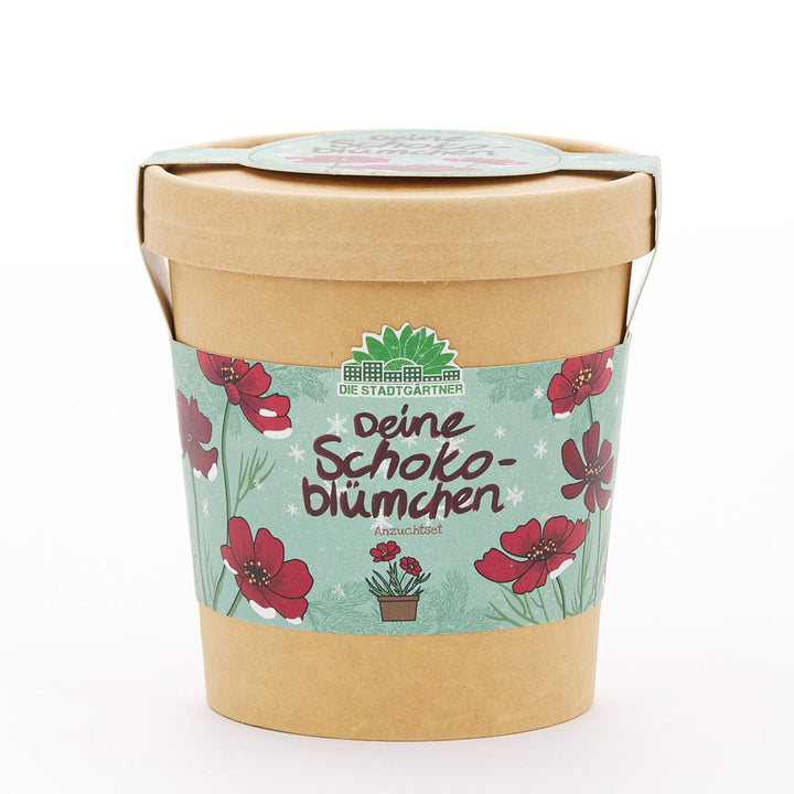 Vaso de papel con una banderilla que representa "Tu kit para cultivar flores de chocolate" y flores rojas.