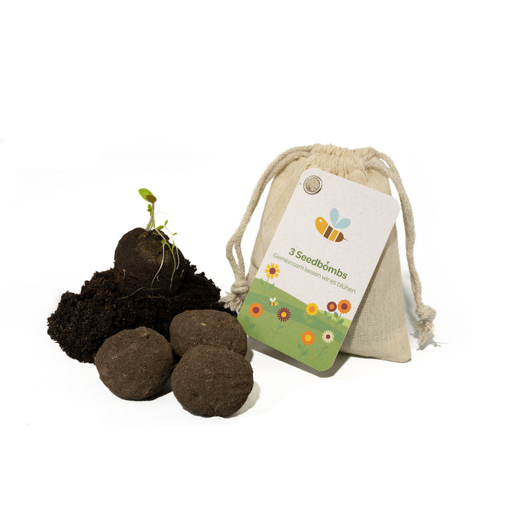 Bombas de semillas con tierra para macetas y una planta germinando junto a una bolsa etiquetada "3 Bombas de Semillas - Juntos haremos que florezca".