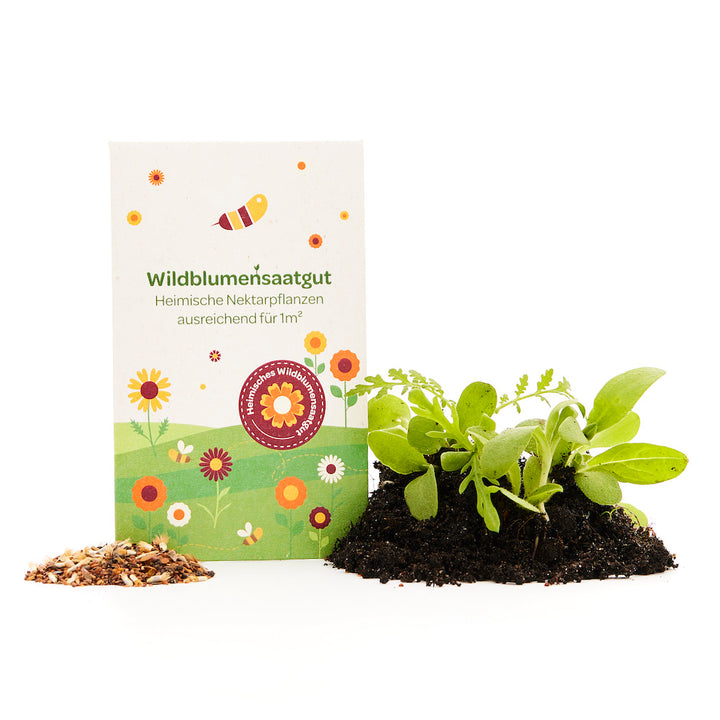 Paquete de semillas de flores silvestres, al lado un pequeño montón de tierra para macetas con plantas jóvenes y semillas sueltas.