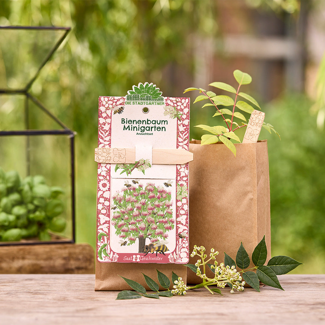 Kit de cultivo de árboles de abejas