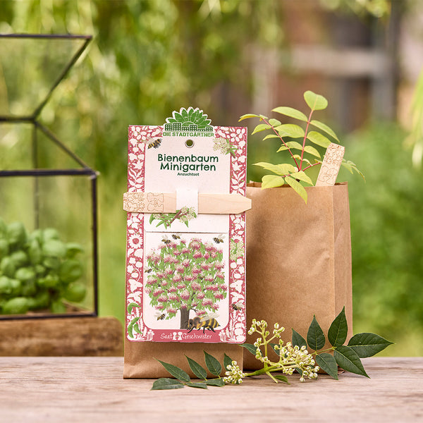 Kit de cultivo de árboles de abejas