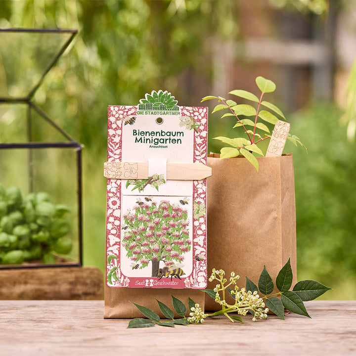 Kit de cultivo de árboles de abejas