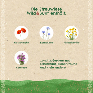 Ilustración de amapola, aciano, manzanilla tintorera y aciano, así como texto sobre las especies de flores silvestres contenidas en una mezcla de pradera.