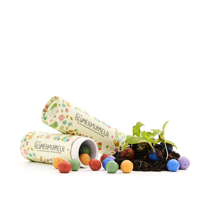 Dos latas etiquetadas como "Canicas de flores", bombas de semillas de colores y tierra de la que brotan plantas.