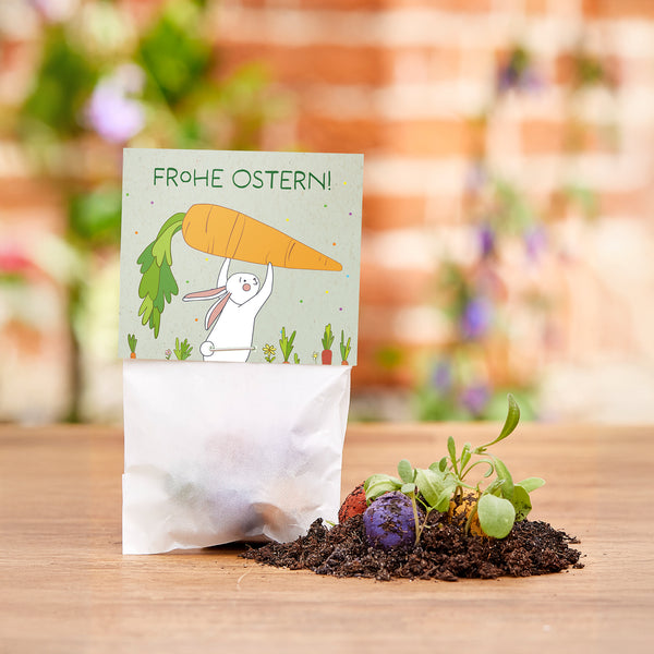 Motivo de Pascua con una tarjeta que muestra un conejito sosteniendo una zanahoria grande y las palabras "¡Felices Pascuas!", junto a tierra con bolas de semillas y brotes de colores.