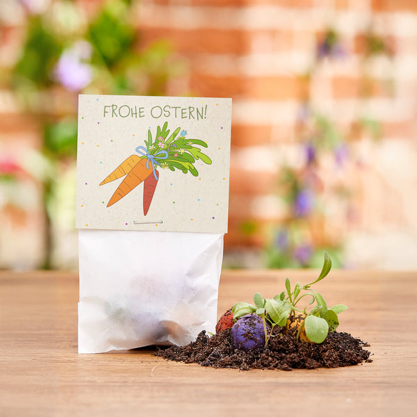 Regalo de Pascua con una tarjeta de "¡Felices Pascuas!", al lado tierra con pequeñas plantas y bolas de semillas de colores sobre una mesa de madera.