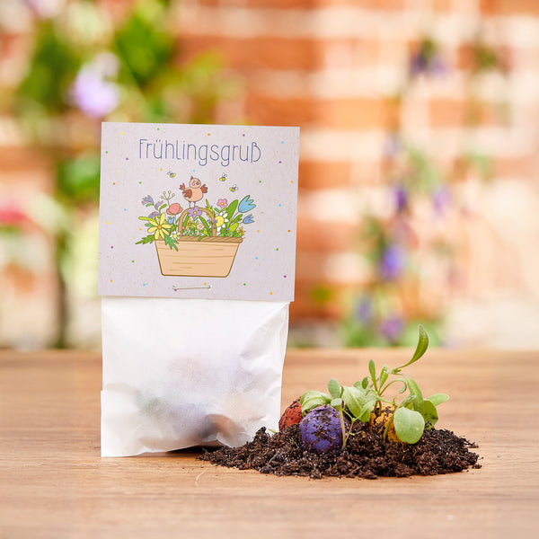 Una pequeña bolsa con la etiqueta "Saludos de primavera" se encuentra sobre una mesa de madera, con tierra, bombas de semillas de colores y plantas jóvenes al lado.