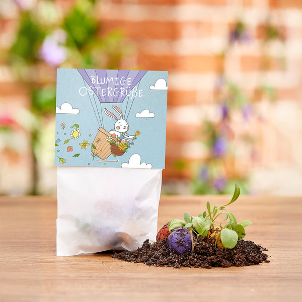 Una pequeña bolsa con una etiqueta que dice "Saludos floridos de Pascua", y al lado tierra con bombas de semillas de colores y plantas jóvenes.