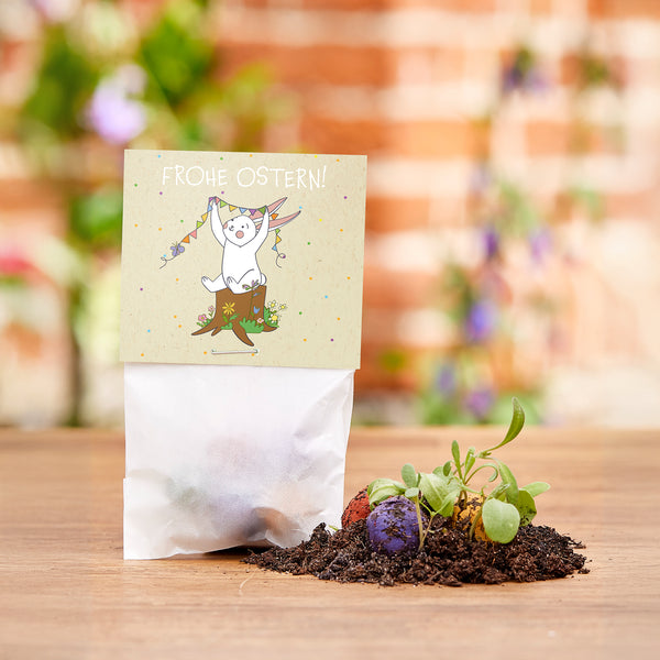 Regalo de Pascua con una tarjeta de "¡Felices Pascuas!", tierra, bombas de semillas de colores y pequeñas plantas sobre una mesa de madera.