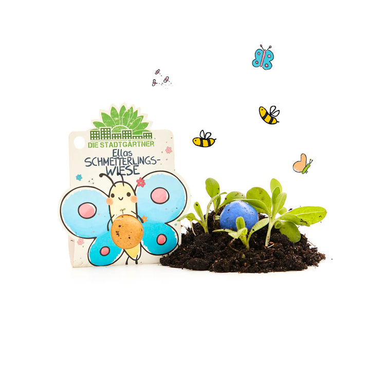 Un colorido kit de semillas llamado "El prado de mariposas de Ella" que incluye una figura de mariposa dibujada, tierra, plántulas y una bomba de semillas azul rodeada de insectos y mariposas dibujados.