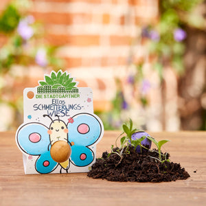 Un paquete con una figura de mariposa dibujada y la inscripción "El prado de mariposas de Ella, de los jardineros de la ciudad" se encuentra junto a un suelo con pequeñas plántulas de plantas.