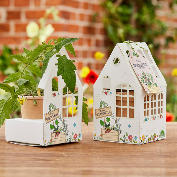 Dos paquetes pequeños con forma de casa etiquetados como "El dulce jardín de Finn", uno de ellos contiene una planta en maceta, con flores borrosas y una pared de ladrillos en el fondo.
