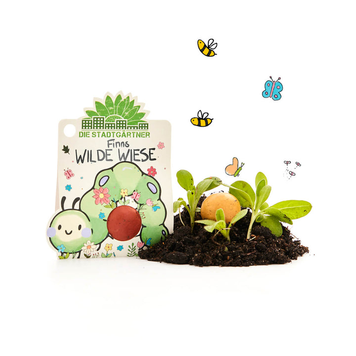 Embalaje de “El Prado Salvaje de Finn de los Jardineros de la Ciudad” con bomba de semillas, al lado tierra con plántulas, abejas y mariposas ilustradas.