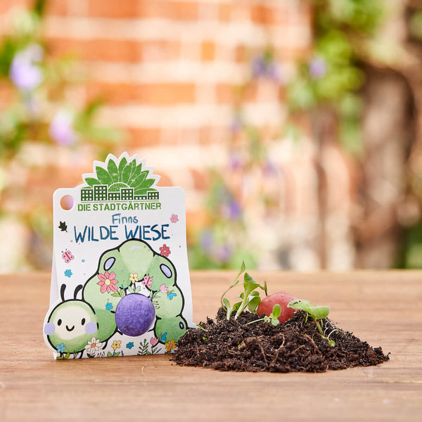 Un paquete colorido con la inscripción "Finn's Wild Meadow" y una bomba de semillas morada al lado, con tierra y pequeñas plantas en primer plano.