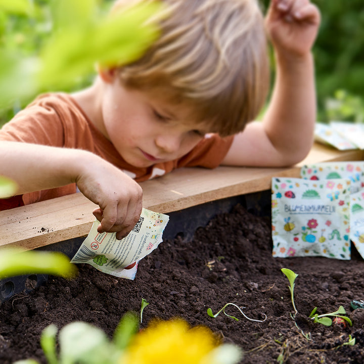Un niño planta semillas en un cantero mientras sostiene una bolsa de semillas.