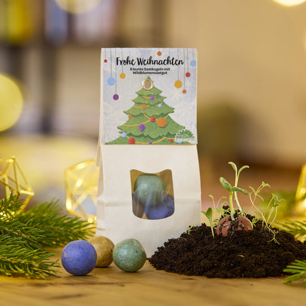 Bolsa de papel con la inscripción “Feliz Navidad”, bolas de semillas de colores y plantas jóvenes en el suelo, decoradas con ramas de abeto y luces.