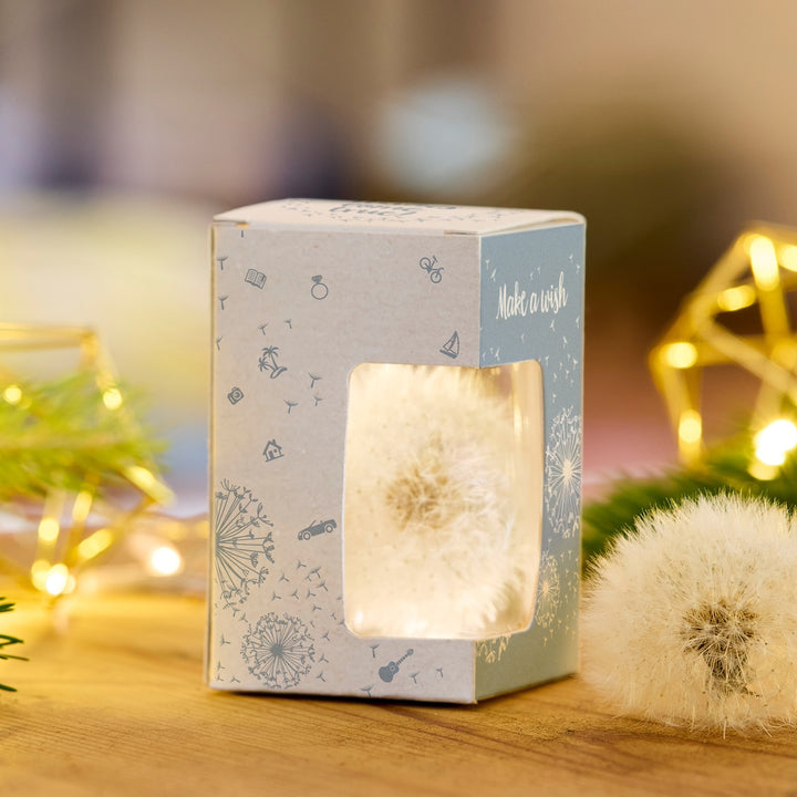 Diente de león en una caja de regalo decorativa con la inscripción "Pide un deseo" sobre una mesa de madera, con luces y decoraciones de fondo.