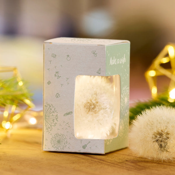 Un diente de león en una caja de regalo con una ventana y la inscripción "Pide un deseo" sobre una superficie de madera, con decoraciones ligeras en el fondo.