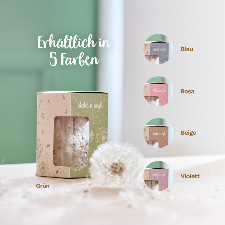Caja de cartón con un diente de león y la inscripción "Pide un deseo", disponible en cinco colores: azul, rosa, beige, verde y morado.