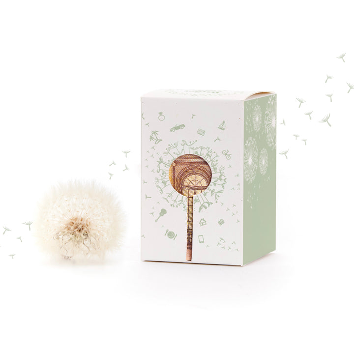 Flor de diente de león junto a un embalaje decorativo con motivo de diente de león y pequeños símbolos.