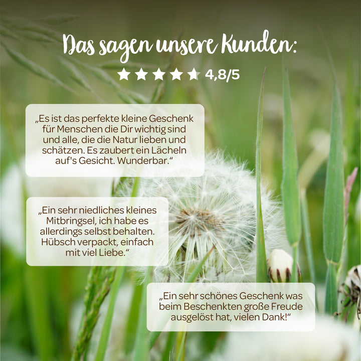 Reseñas de clientes sobre un regalo de naturaleza, valorado con 4,8 de 5 estrellas, sobre un fondo con dientes de león y hierba verde.