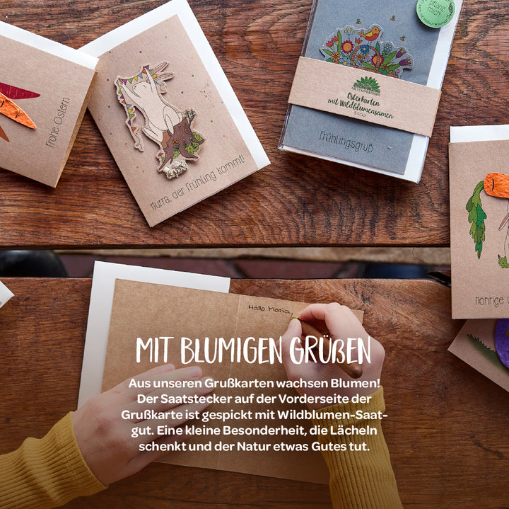 Sobre una mesa de madera se encuentran varias tarjetas de felicitación hechas a mano con motivos florales y animales y notas escritas a mano; en primer plano, una persona escribe en una tarjeta y, al fondo, un texto sobre tarjetas de felicitación con semillas de flores silvestres.