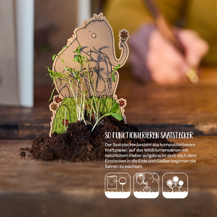 Tapón de cartón en forma de elefante pegado en tierra con flores silvestres germinando, texto que explica cómo funcionan los tapones de semillas en primer plano.