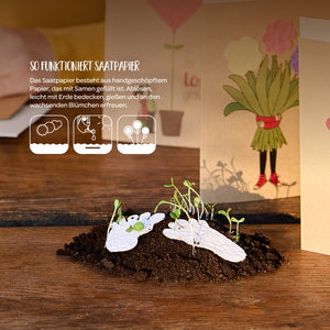 Papel de semillas hecho a mano con plantas germinando en tierra, con tarjetas ilustradas a todo color en el fondo.