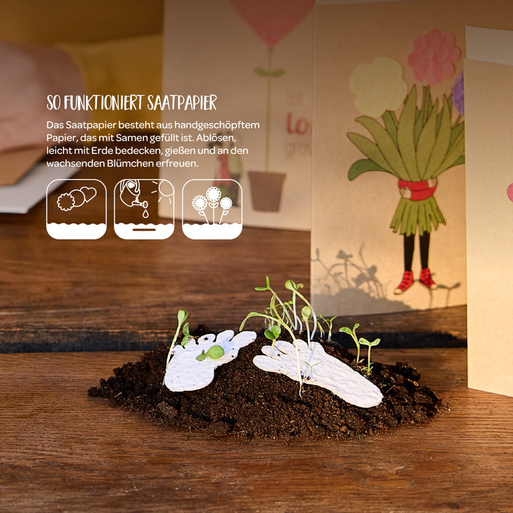 Papel de semillas hecho a mano con plantas germinando en tierra, con tarjetas ilustradas a todo color en el fondo.