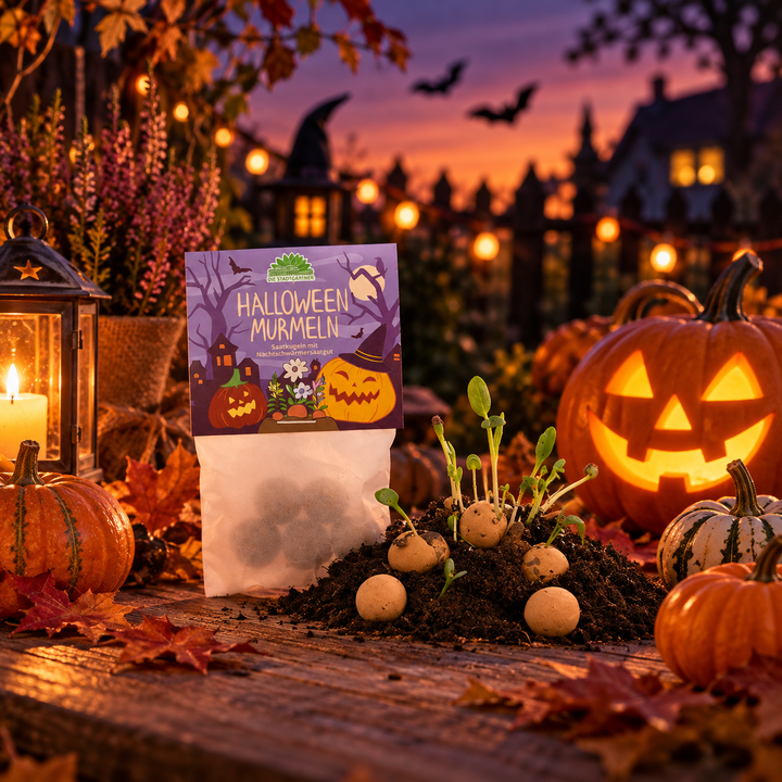 5 canicas de flores en bolsita "Canicas de Halloween"