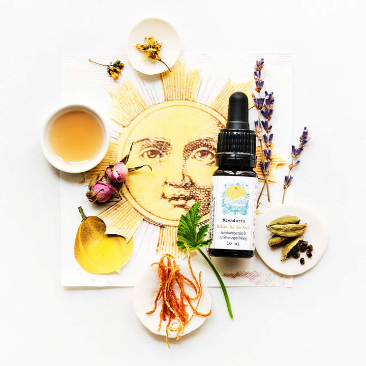 Arreglo flatlay con frascos de cosmética natural, plantas secas, una taza de té y frutas en rodajas sobre un fondo claro.