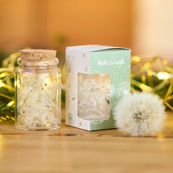 Cumplidor de deseos con paraguas de diente de león