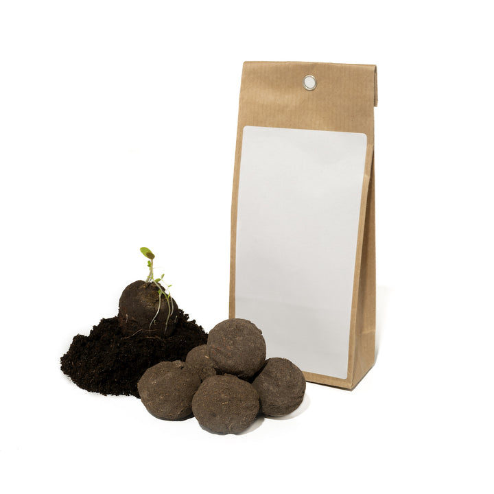 Bolsa de papel kraft con ventana junto a un montón de tierra con plántulas y bombas de semillas sobre un fondo blanco.