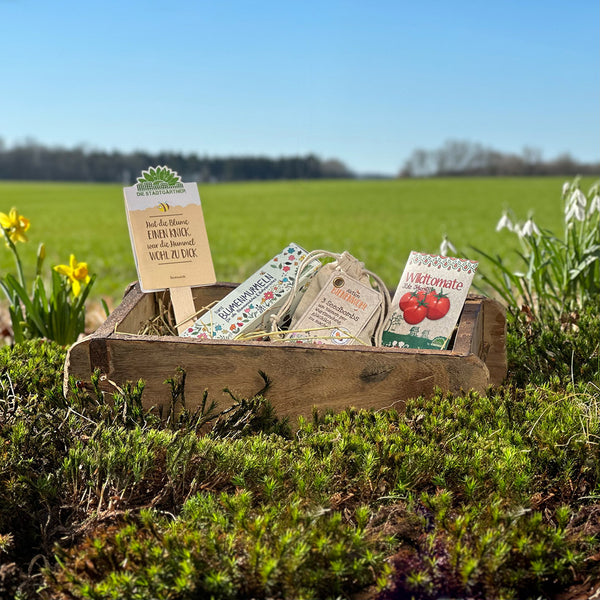 Caja de madera con paquetes de semillas y herramientas de jardinería en un prado en primavera.