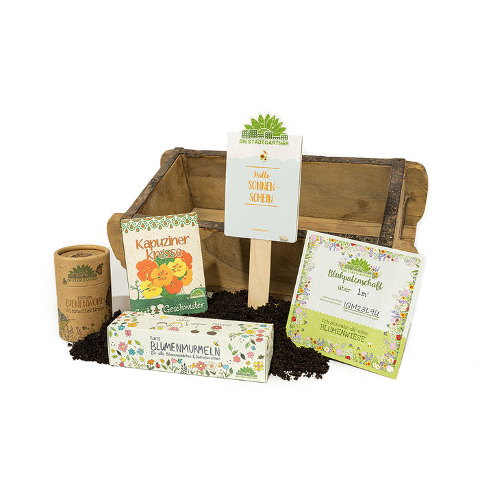 Kit de horticultura con varios paquetes de semillas y materiales de plantación sobre una mesa de madera.