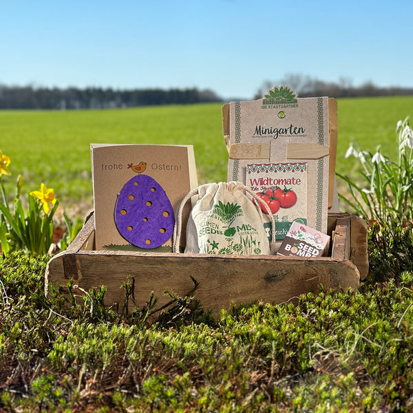 Set de decoración y jardinería de Pascua con bolsitas de semillas en caja de madera para exterior, con una tarjeta que desea "Felices Pascuas".
