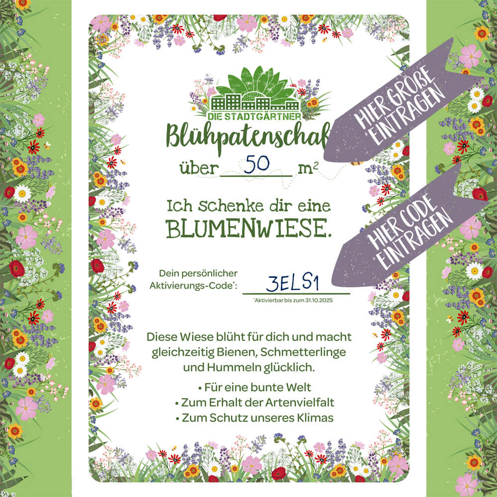 Certificado de patrocinio floral con motivo de prado de flores, texto para un prado de flores de más de 50 metros cuadrados, campos de código de activación personalizados, marcos coloridos con flores y flechas que indican "Ingrese el tamaño aquí" e "Ingrese el código aquí".