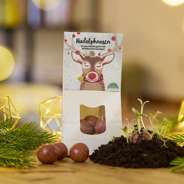Bolsa de papel con la inscripción "Narices de Rudolph" y una ilustración de un reno, que contiene bolas de semillas rojas de flores silvestres; algunas bolas están sobre la mesa y una de ellas germina en el suelo.