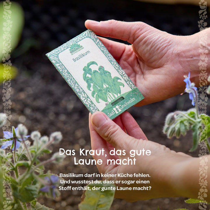 Una persona sostiene una bolsa de semillas de albahaca en el jardín, con plantas y tierra visibles en el fondo.