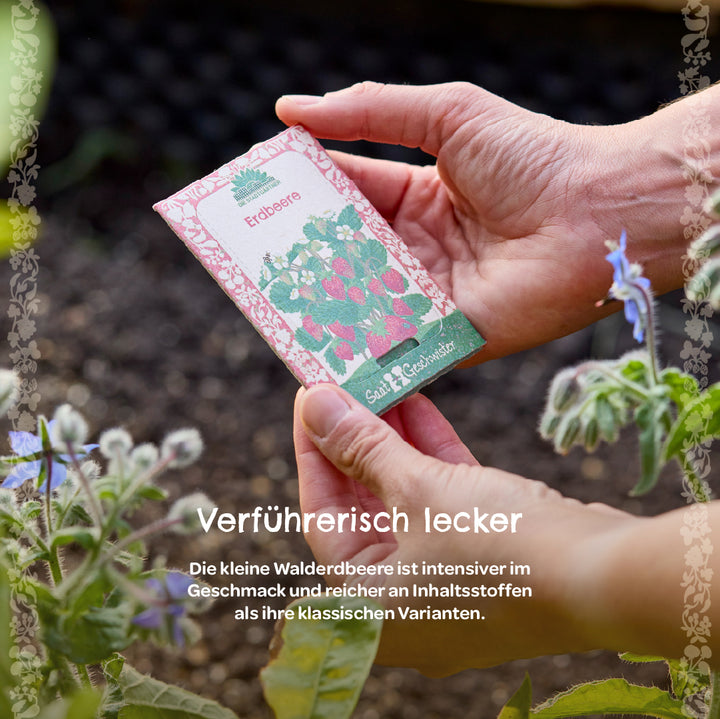 Dos manos sostienen un paquete de semillas de fresa en el jardín, con una planta con flores en primer plano.