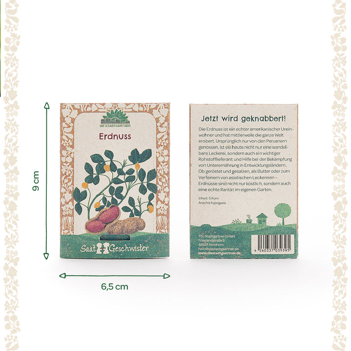 Dos bolsas de semillas de cacahuete de la marca "Saatgeschwister" con una planta de cacahuete ilustrada en la parte frontal y una descripción del producto en la parte posterior. También se indican las dimensiones: 9 cm de alto y 6,5 cm de ancho.