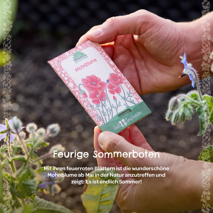 Una mano sostiene una bolsa de semillas de amapola en el jardín junto a plantas con flores.