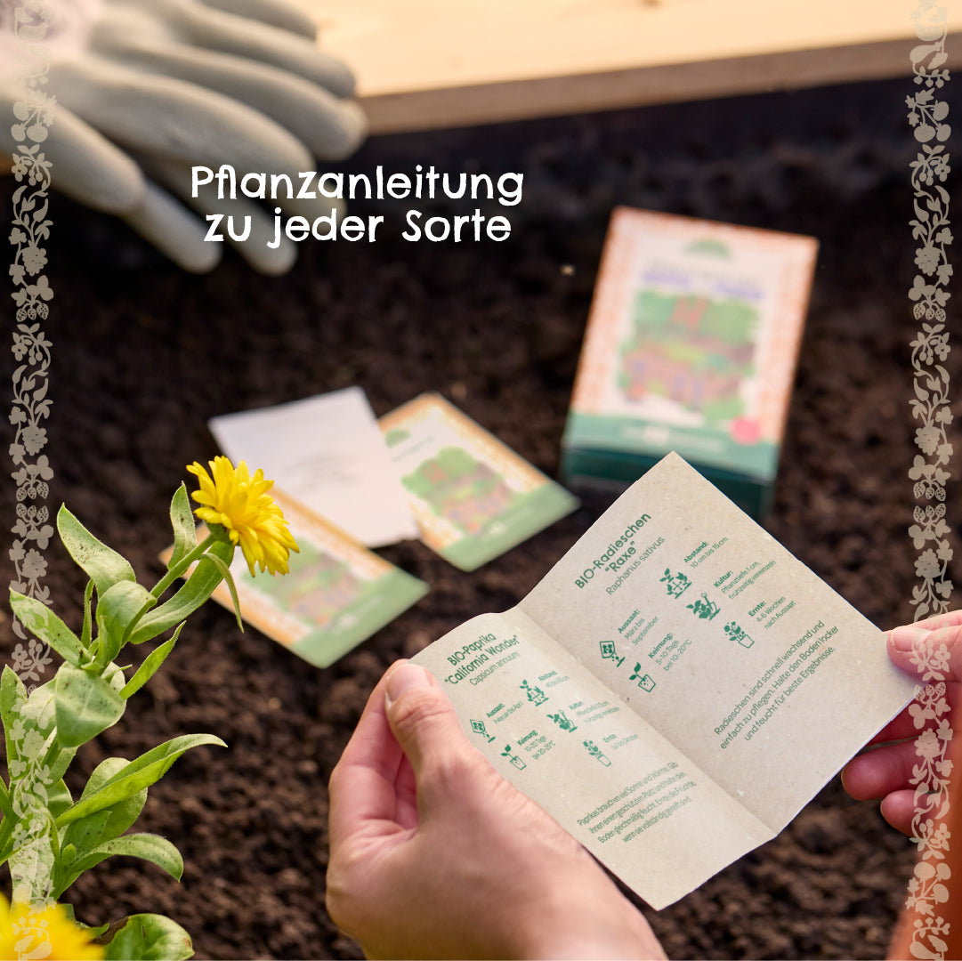 Unas manos sostienen instrucciones de plantación en el jardín, unos paquetes de semillas se encuentran en el fondo y una flor amarilla crece en el cantero.