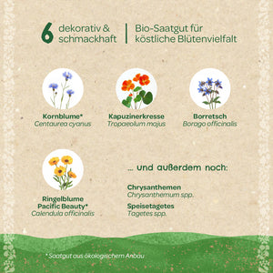 Seis variedades de semillas de flores orgánicas decorativas y sabrosas con ilustraciones: aciano, capuchina, borraja, caléndula, así como crisantemos y caléndulas comestibles.