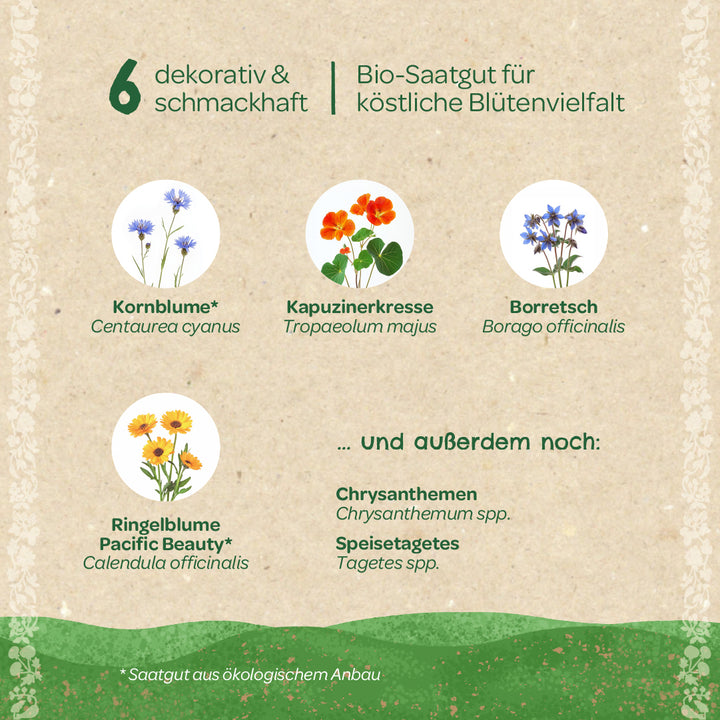 Seis variedades de semillas de flores orgánicas decorativas y sabrosas con ilustraciones: aciano, capuchina, borraja, caléndula, así como crisantemos y caléndulas comestibles.