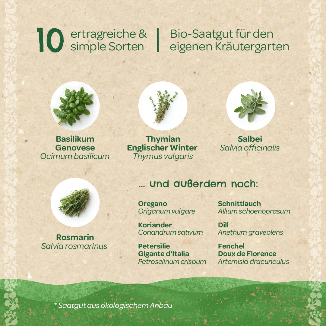 Gráfico que muestra diez hierbas fáciles y productivas cultivadas a partir de semillas orgánicas, entre ellas albahaca, tomillo, salvia y romero, además de otras hierbas enumeradas como orégano, cilantro y cebollino.