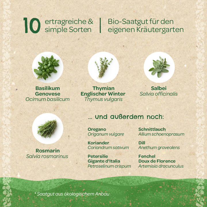 Gráfico que muestra diez hierbas fáciles y productivas cultivadas a partir de semillas orgánicas, entre ellas albahaca, tomillo, salvia y romero, además de otras hierbas enumeradas como orégano, cilantro y cebollino.