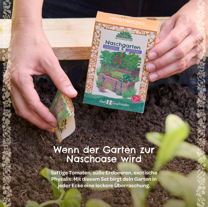 Persona que sostiene un paquete de semillas para "jardín de refrigerio" y esparce semillas en el suelo, rodeada de plantas y un texto sobre los beneficios del conjunto.